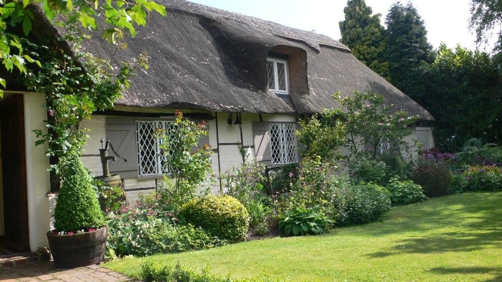 Thatched white cottage with grey window shutters and plants in front