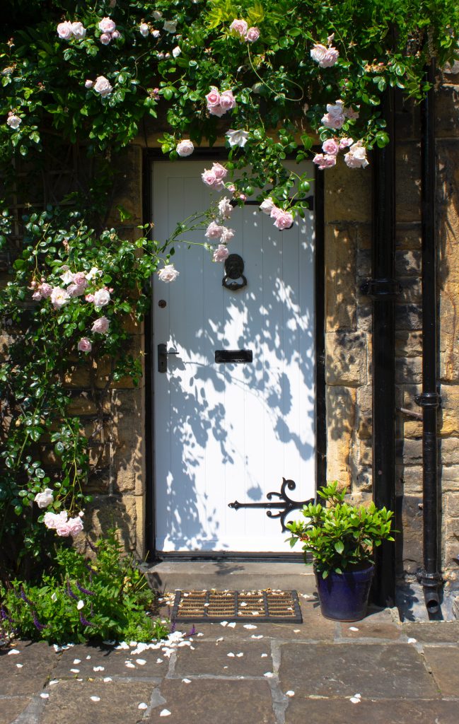 White front door with knocker behind pink rose bush 